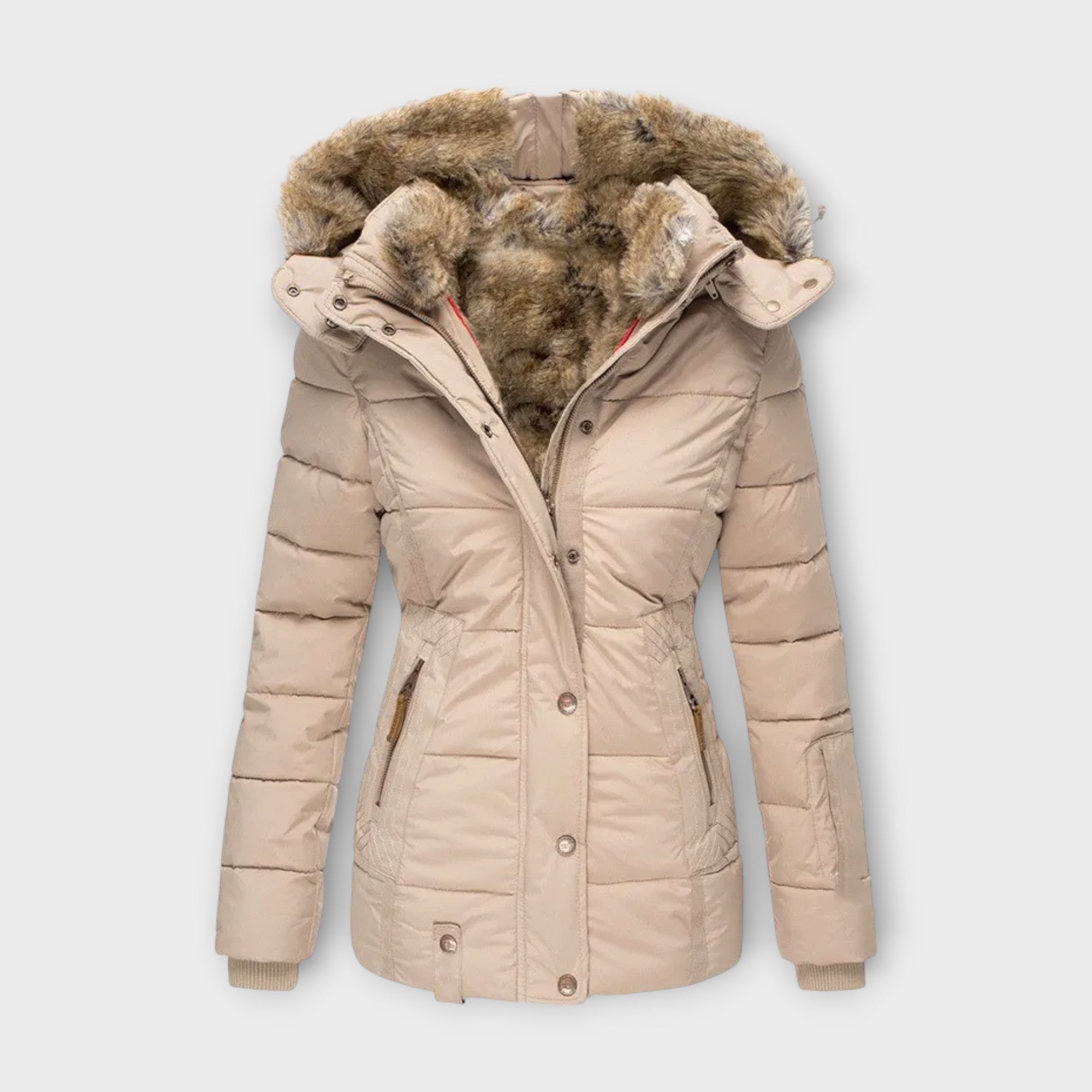 Asia - Parka