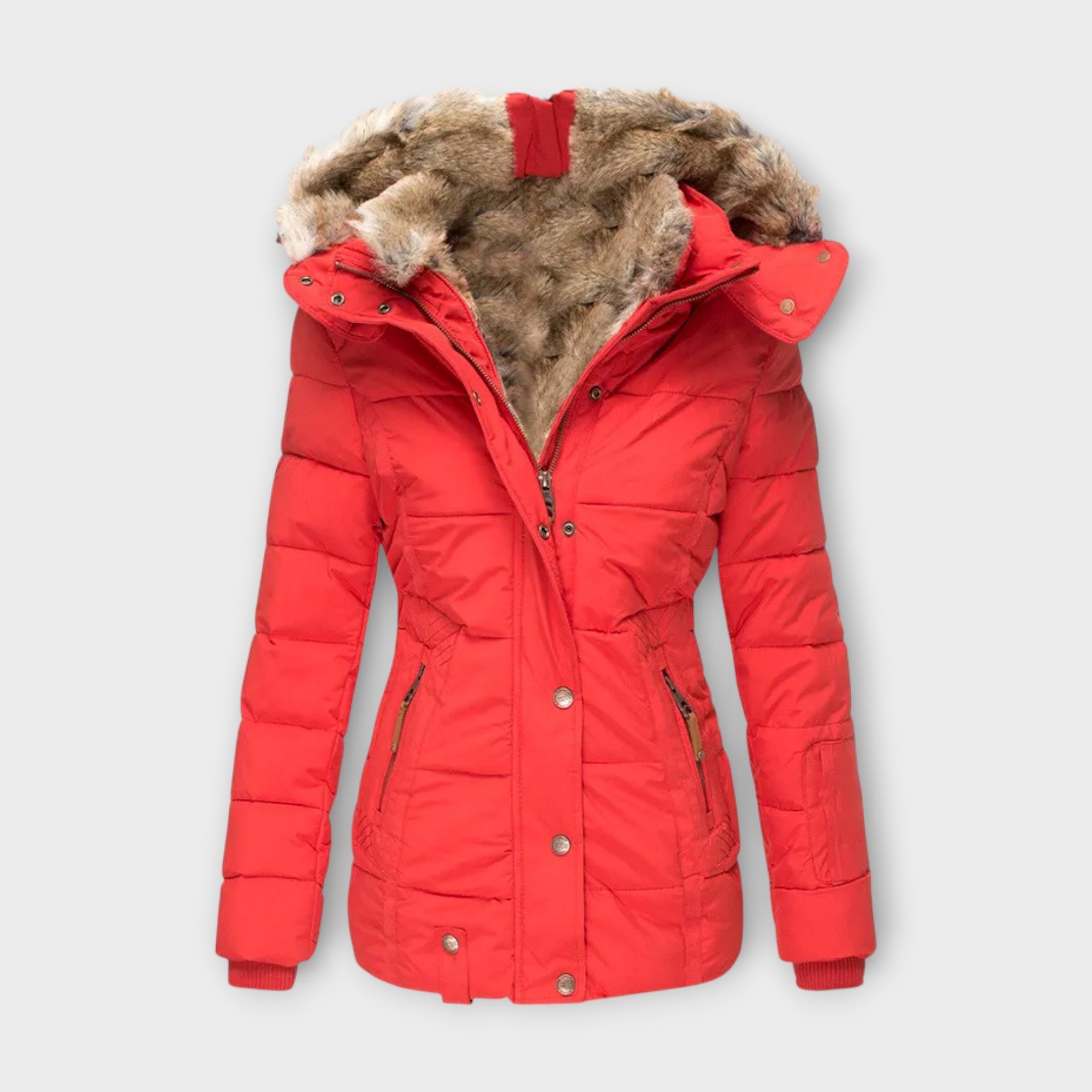 Asia - Parka