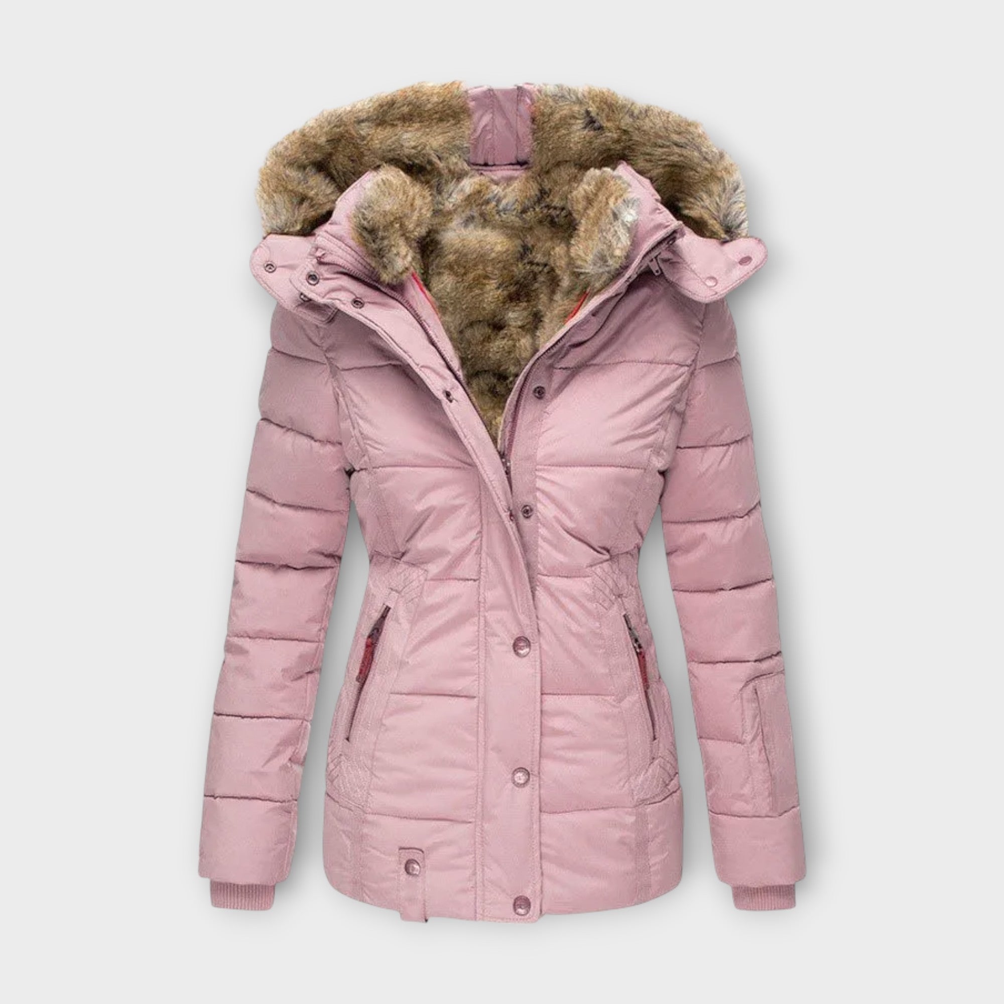 Asia - Parka