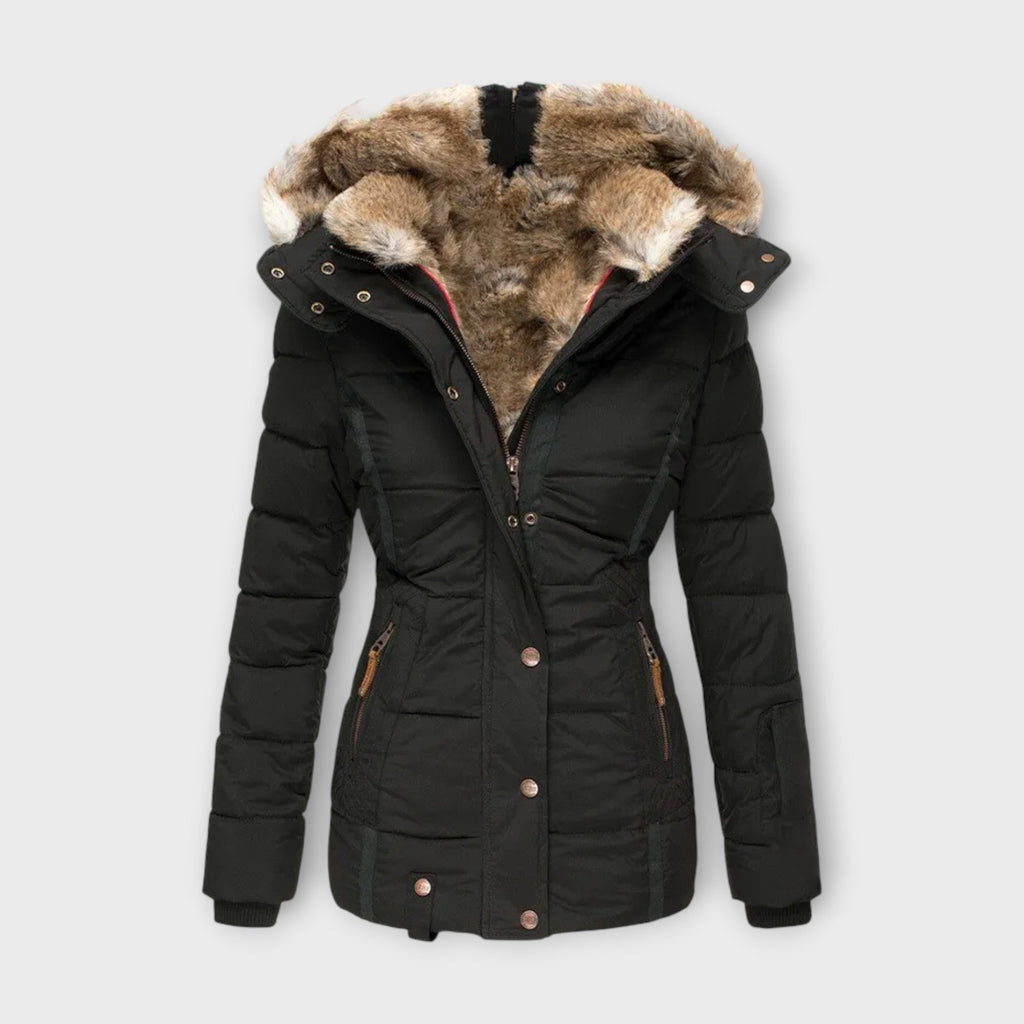 Asia - Parka