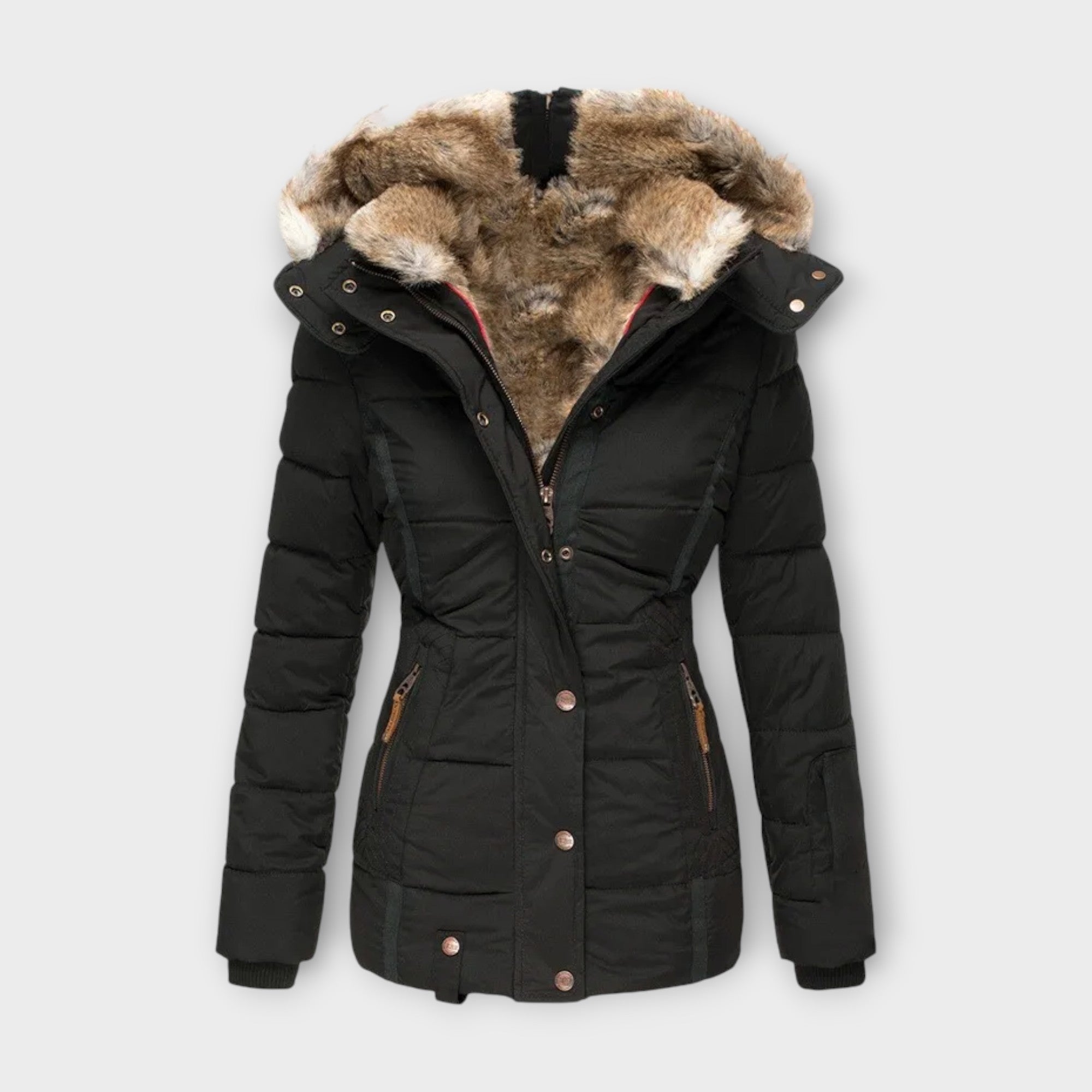 Asia - Parka